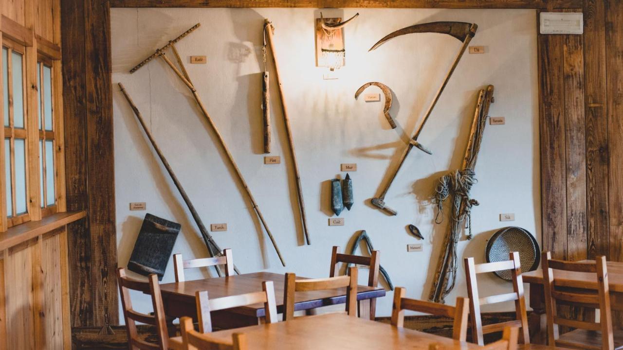 باردونيكيا Chalet Della Guida المظهر الخارجي الصورة